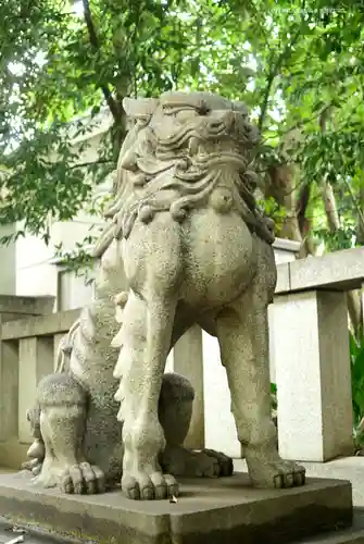 渋谷氷川神社の狛犬