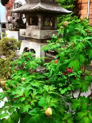 成願寺(東京都)