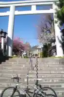 新宿下落合氷川神社の鳥居