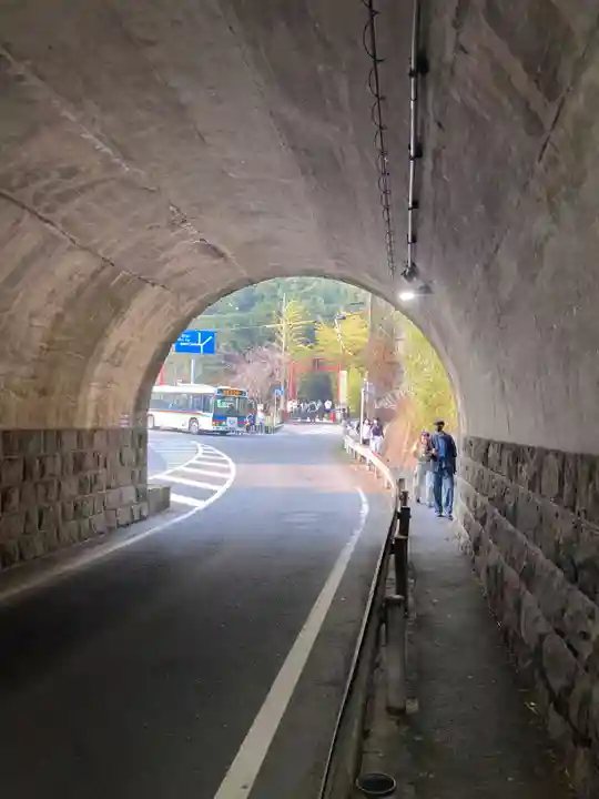 來宮神社(静岡県)