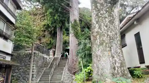 日枝神社(静岡県)