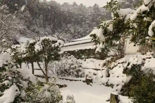 正伝護国禅寺(正伝寺･正傳寺)(京都府)