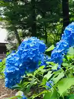 密蔵院米山寺の自然