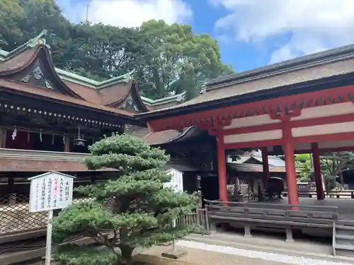 住吉神社(山口県)