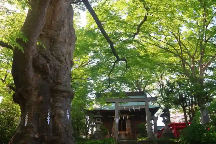 愛宕神社の景色
