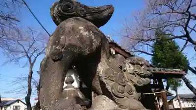 赤烏神社の狛犬