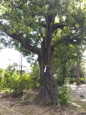 賣太神社(奈良県)