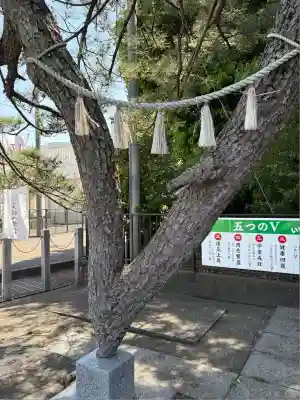 玉村八幡宮(群馬県)