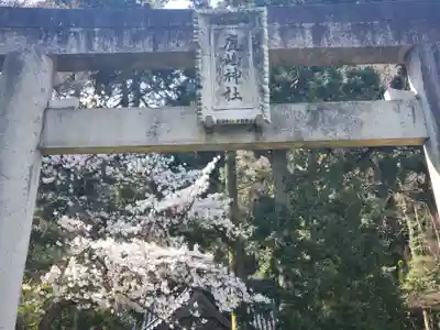 鹿嶋神社の鳥居