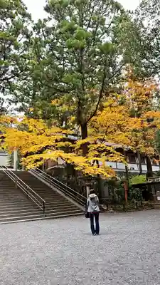 大神神社(奈良県)