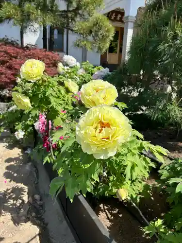 少林寺(埼玉県)