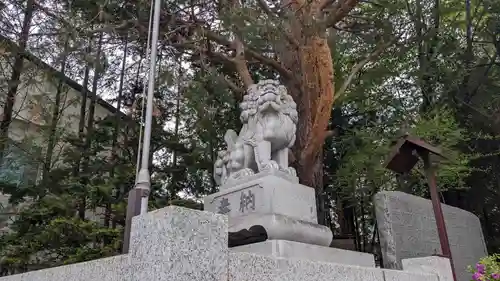 北見神社の狛犬