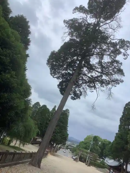 八幡神社(妻木)のその他建物