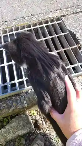 十輪寺(埼玉県)