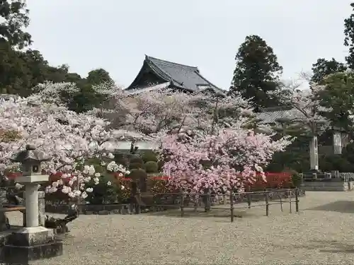 粉河寺の建物その他