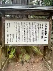 元伊勢内宮 皇大神社(京都府)