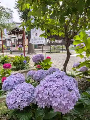 磐井神社(東京都)