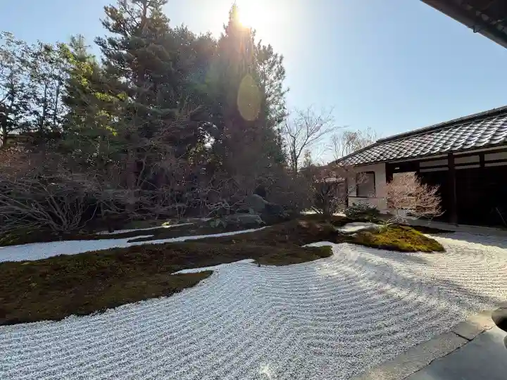 西来院の{uncategorized: "未分類", other: "その他", undefined: "問題あり", building: "その他建物", grave: "お墓", sacred_gate: "鳥居", guardian: "狛犬", statue: "像", buddha: "仏像", history: "歴史", nature: "自然", garden: "庭園", animal: "動物", pagoda: "塔", temizu: "手水舎", mountain_gate: "山門・神門", sanctuary: "本殿・本堂", subordinate: "末社・摂社", art: "芸術", scenery: "景色", jizo: "地蔵", ema: "絵馬", goshuin: "御朱印", omikuji: "おみくじ", items: "授与品その他", amulet: "お守り", goshuincho: "御朱印帳", eats: "食事", festival: "お祭り", votive_dance: "神楽", shichigosan: "七五三参", wedding: "結婚式", experience: "体験その他", initially: "初詣", around: "周辺", anti_infection: "感染症対策"}