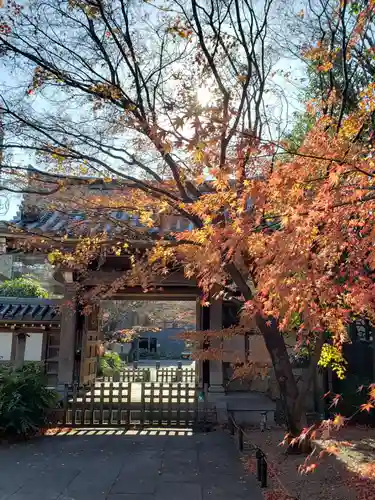 高円寺の山門