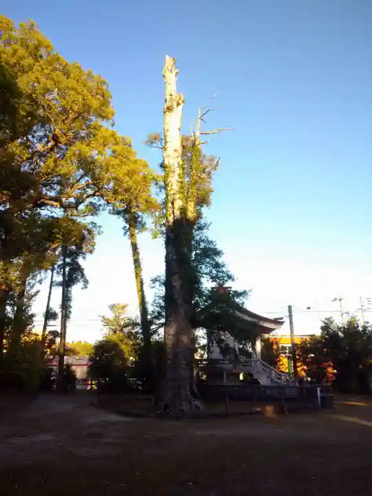 鵜戸神社の自然
