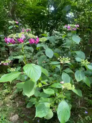 石都々古和気神社(福島県)