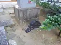 諏訪神社(東京都)