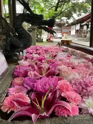 清洲山王宮　日吉神社の手水舎