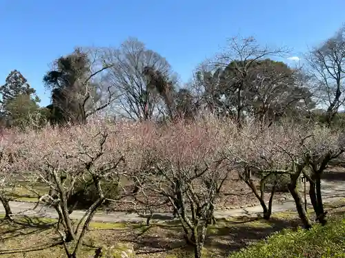 石山寺(滋賀県)