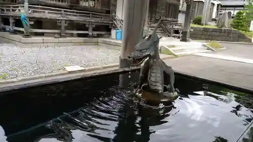 高龍寺の手水舎