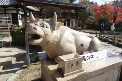 三室戸寺(京都府)