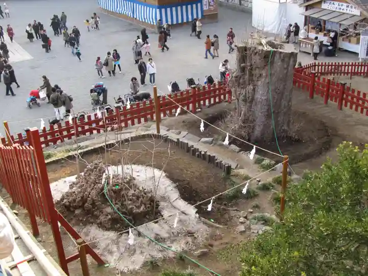 鶴岡八幡宮の景色