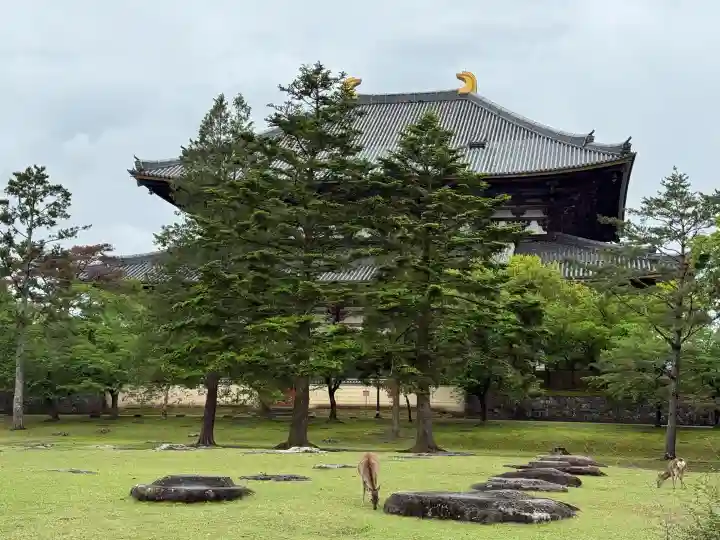 東大寺の{uncategorized: "未分類", other: "その他", undefined: "問題あり", building: "その他建物", grave: "お墓", sacred_gate: "鳥居", guardian: "狛犬", statue: "像", buddha: "仏像", history: "歴史", nature: "自然", garden: "庭園", animal: "動物", pagoda: "塔", temizu: "手水舎", mountain_gate: "山門・神門", sanctuary: "本殿・本堂", subordinate: "末社・摂社", art: "芸術", scenery: "景色", jizo: "地蔵", ema: "絵馬", goshuin: "御朱印", omikuji: "おみくじ", items: "授与品その他", amulet: "お守り", goshuincho: "御朱印帳", eats: "食事", festival: "お祭り", votive_dance: "神楽", shichigosan: "七五三参", wedding: "結婚式", experience: "体験その他", initially: "初詣", around: "周辺", anti_infection: "感染症対策"}