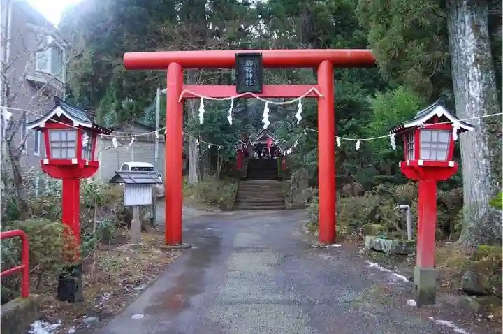 駒形神社(箱根神社摂社)の鳥居