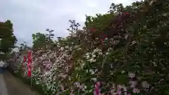 法雲寺(大阪府)