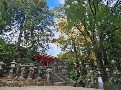 春日大社(奈良県)