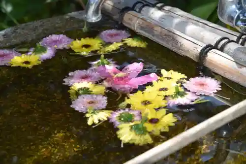 正覚院の手水舎