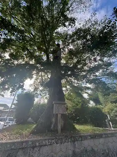中山神社(岡山県)