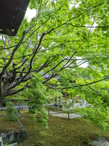 勝林寺(京都府)