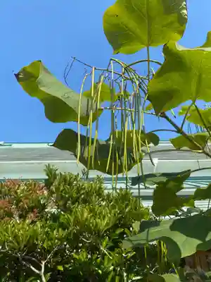 飯野八幡宮(福島県)