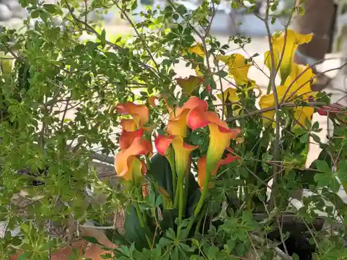 三津厳島神社(愛媛県)