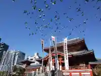 大須観音 (北野山真福寺宝生院)の本殿・本堂