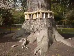 志波彦神社・鹽竈神社(宮城県)