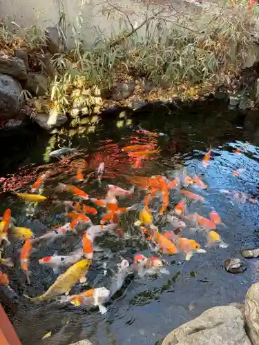 秩父神社の{uncategorized: "未分類", other: "その他", undefined: "問題あり", building: "その他建物", grave: "お墓", sacred_gate: "鳥居", guardian: "狛犬", statue: "像", buddha: "仏像", history: "歴史", nature: "自然", garden: "庭園", animal: "動物", pagoda: "塔", temizu: "手水舎", mountain_gate: "山門・神門", sanctuary: "本殿・本堂", subordinate: "末社・摂社", art: "芸術", scenery: "景色", jizo: "地蔵", ema: "絵馬", goshuin: "御朱印", omikuji: "おみくじ", items: "授与品その他", amulet: "お守り", goshuincho: "御朱印帳", eats: "食事", festival: "お祭り", votive_dance: "神楽", shichigosan: "七五三参", wedding: "結婚式", experience: "体験その他", initially: "初詣", around: "周辺", anti_infection: "感染症対策"}