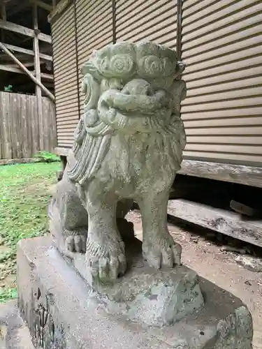 坂本神社の狛犬