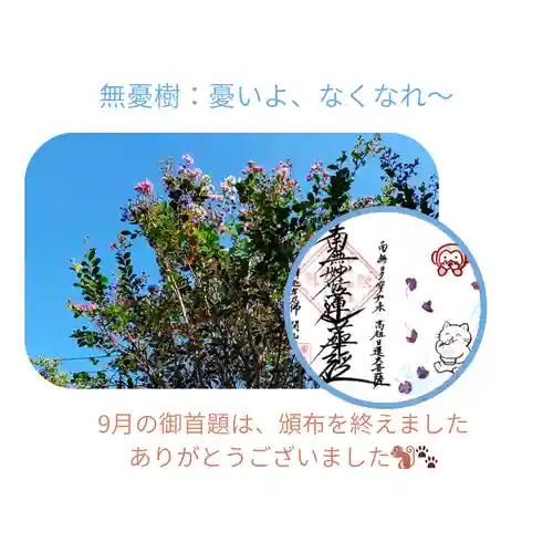 谷中 妙福寺(東京都)