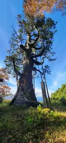 木幡山隠津島神社(二本松市)の周辺