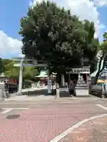 生玉稲荷神社の自然