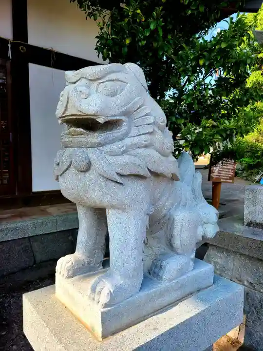 小浜神社の狛犬