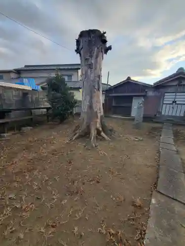 稲荷神社（瑞穂野町）(栃木県)