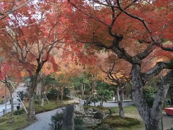 高台寺(高台寿聖禅寺・高臺寺)(京都府)